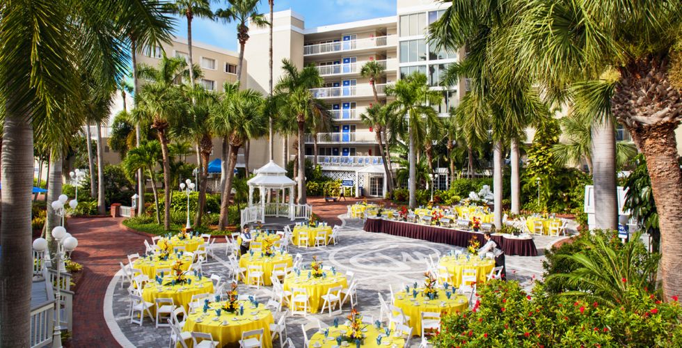 A Group Of Palm Trees With Buildings In The Background