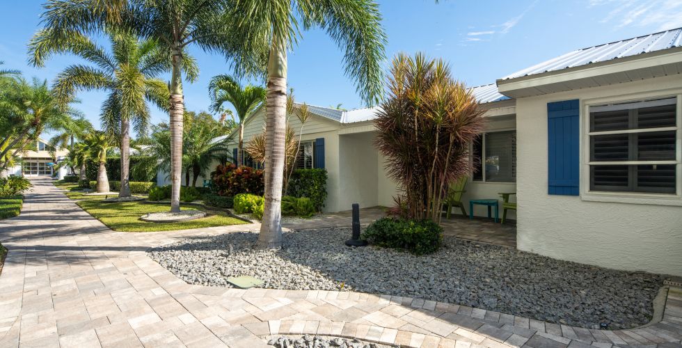 A Stone Paved Area With Palm Trees And Buildings