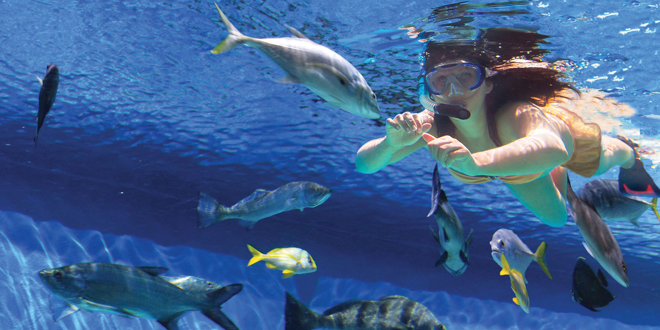 A Bird Flying Over A Body Of Water