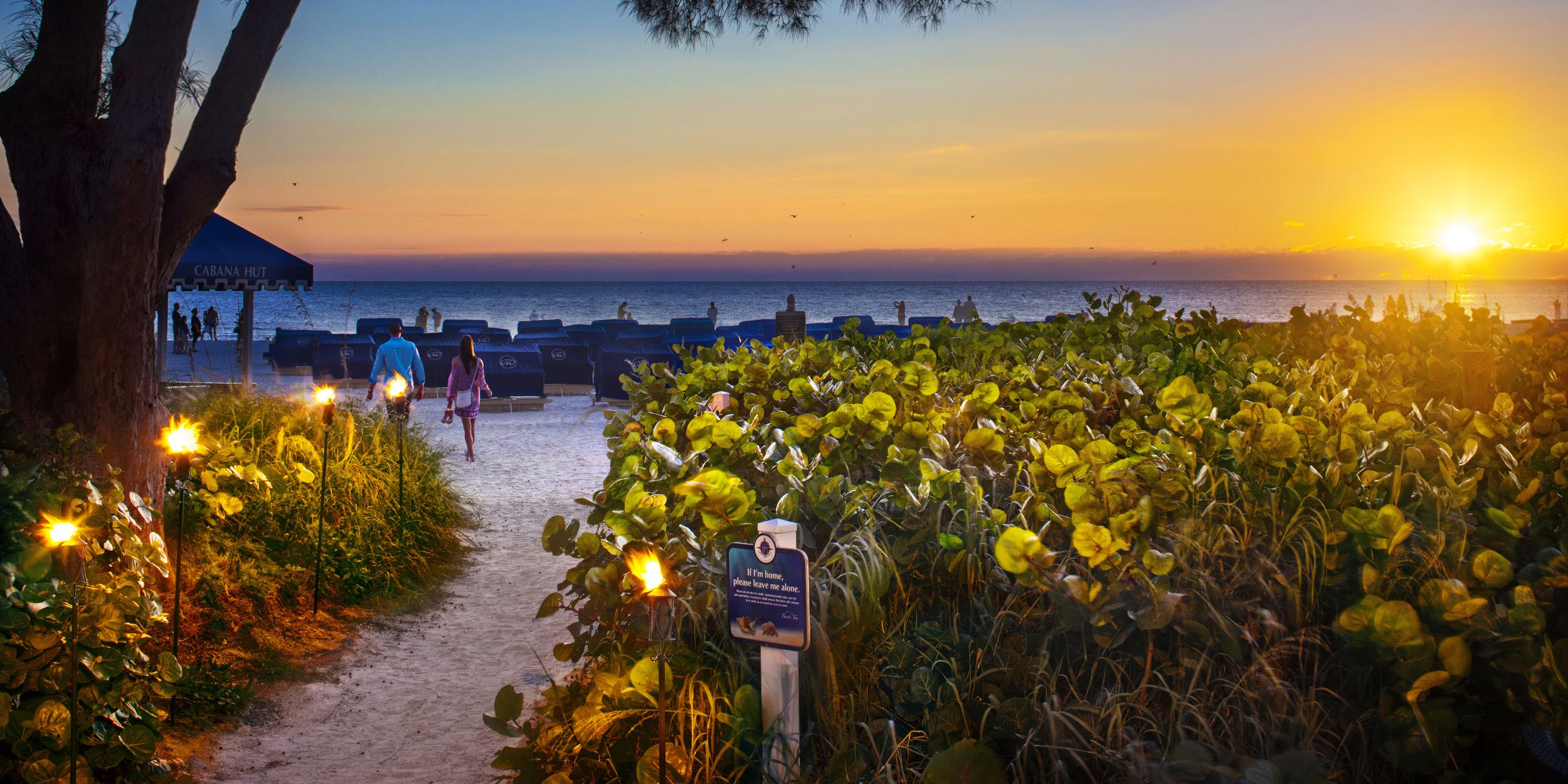 A Tree In Front Of A Sunset