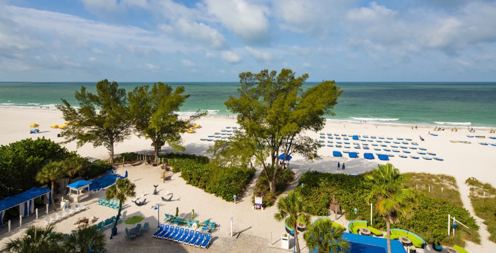 A View Of A Beach Next To The Ocean