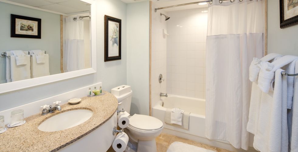 A Double Sink And Large Mirror