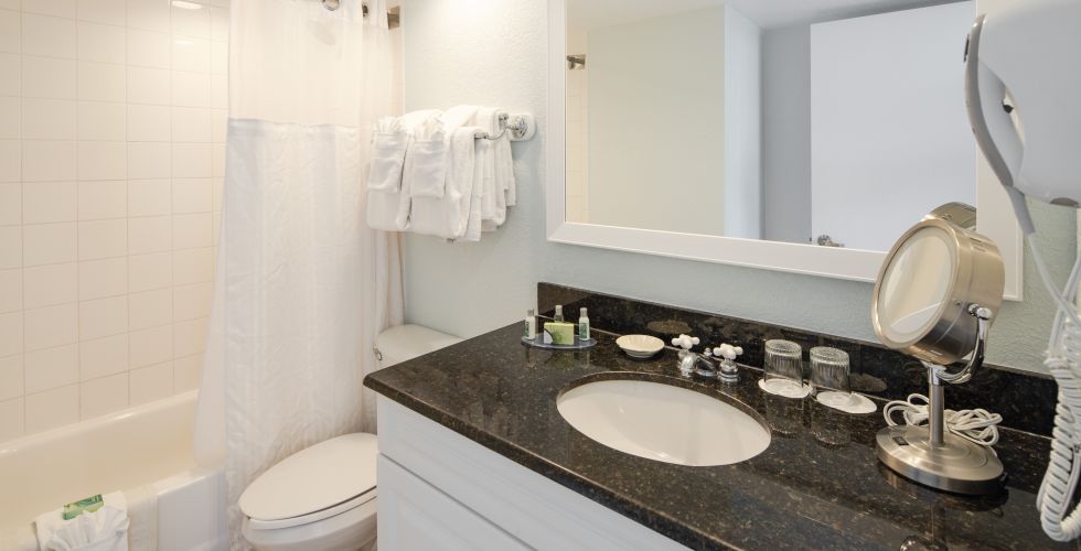 A Double Sink And Large Mirror