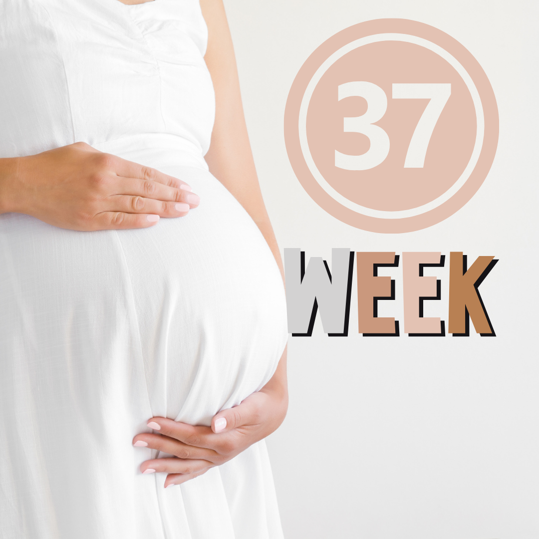 37 WEEKS PREGNANT AND BABY DEVELOPMENT