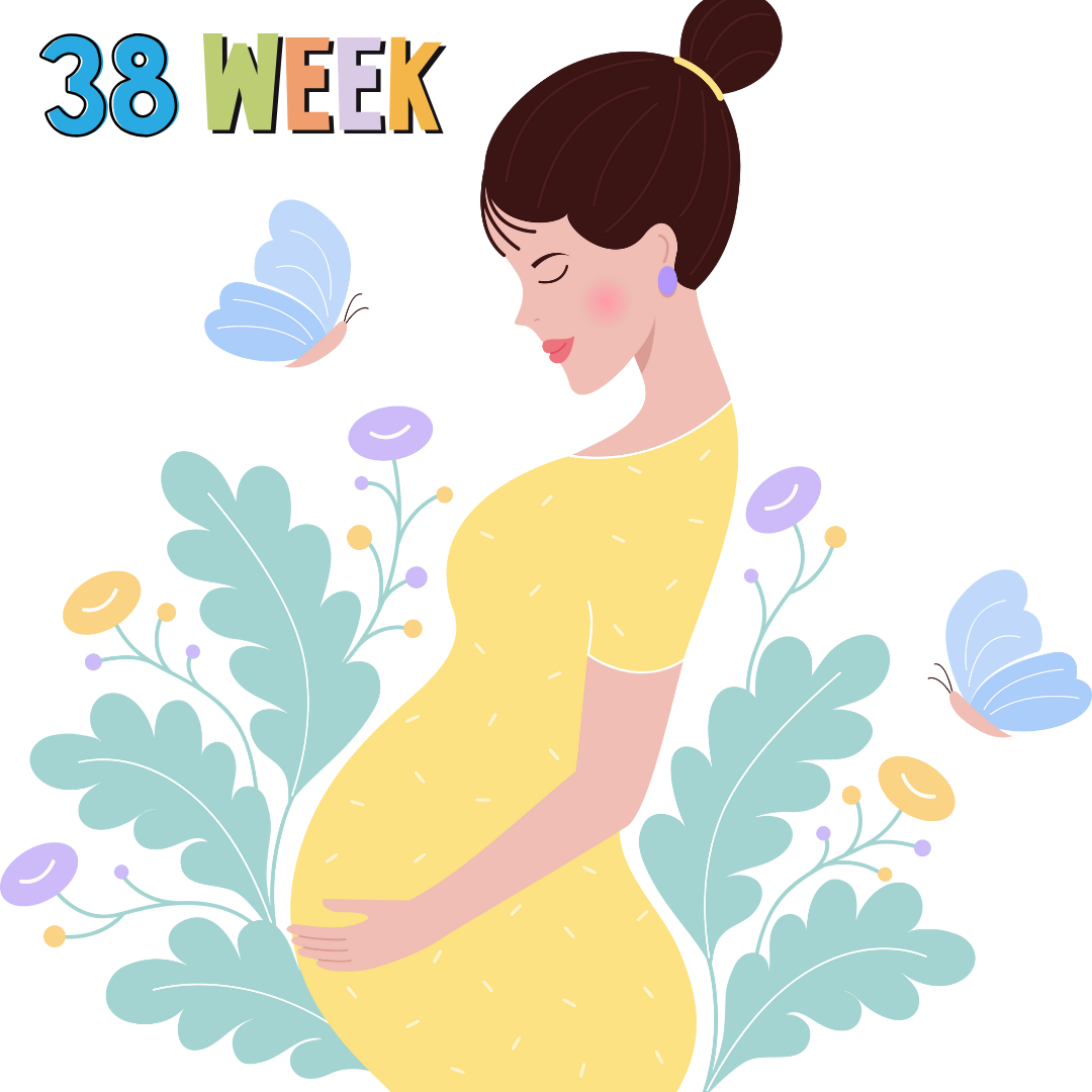 38 weeks pregnant