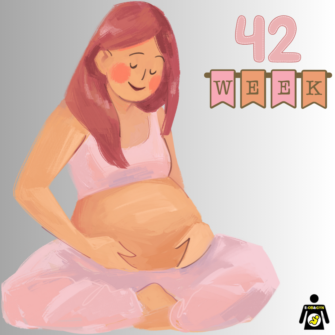 42 WEEKS PREGNANT AND BABY DEVELOPMENT