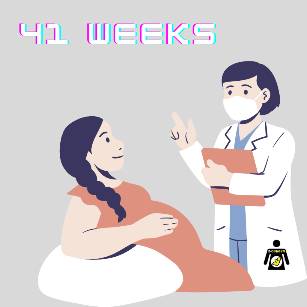41 weeks foetus